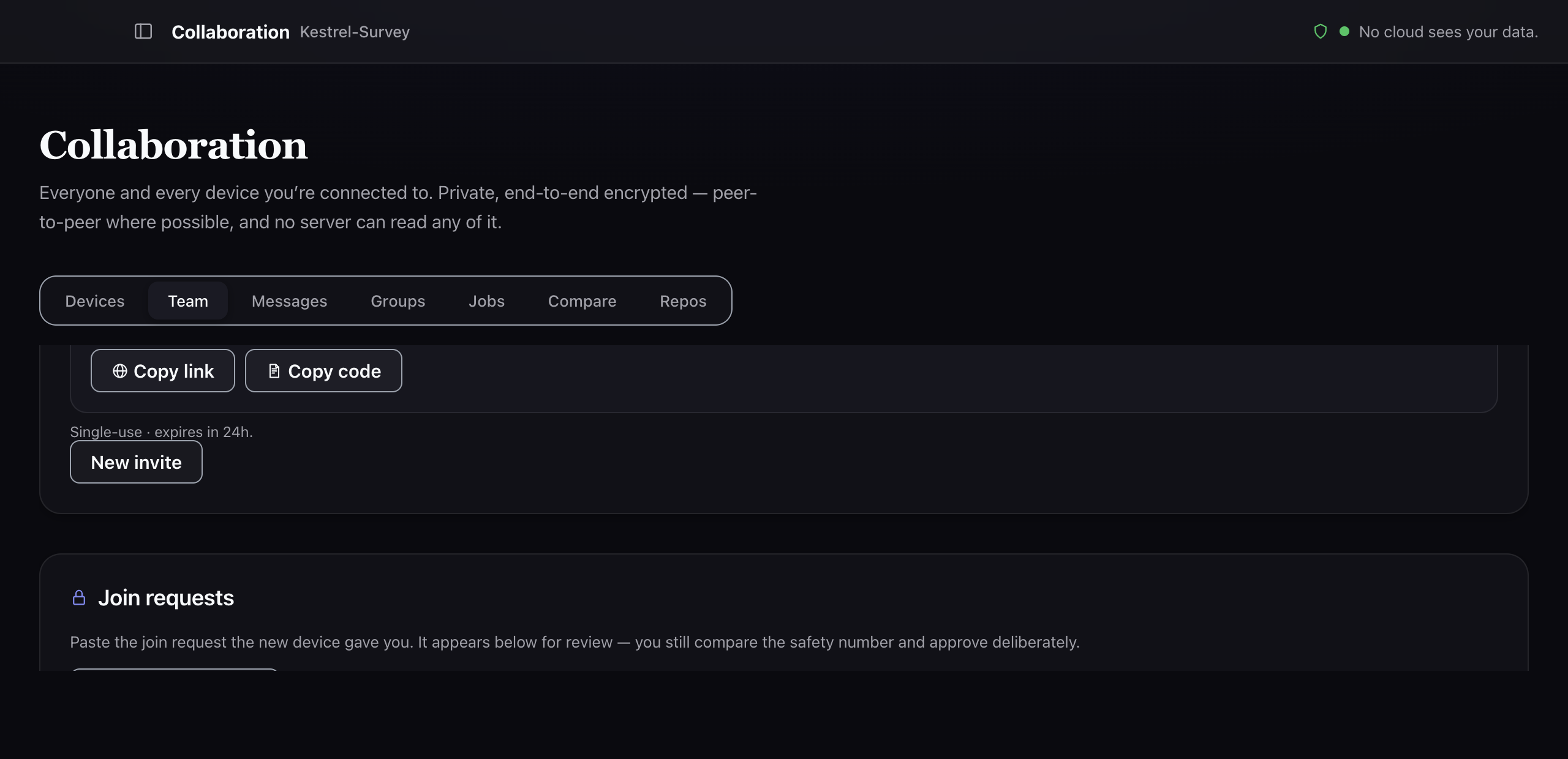 The Team tab after an invite has been created. The code itself is
                scrolled out of view; what remains visible are Copy link and Copy code
                buttons, a line reading single-use and expires in 24 hours, a New invite
                button, and the Join requests panel below.